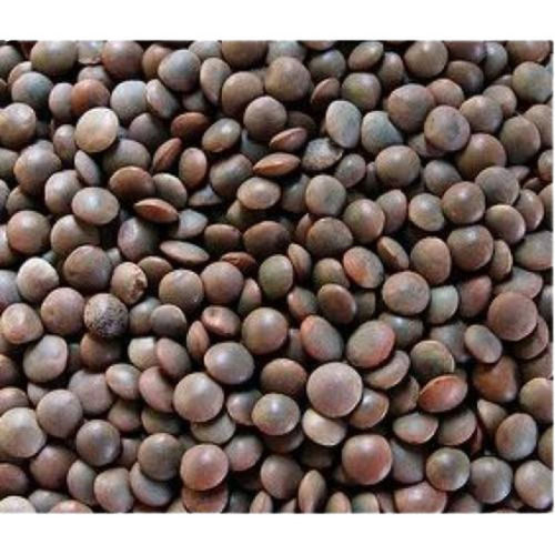 Pure And Dried Commonly Cultivated Whole Masoor Dal
