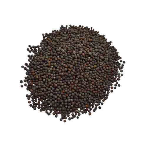 Rich In Taste Black Mustard Seeds For Cooking Use