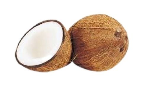 Fresh Brown Matured Coconut