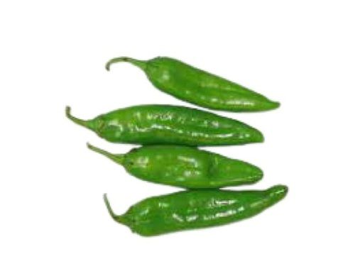 Naturally Grown Farm Fresh Long Shape Green Chilies