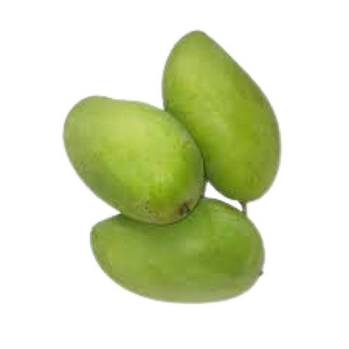 Oval Shape Medium Size Sour Taste Green Mango