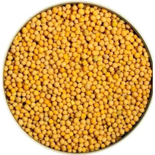 100% Pure And Natural Mustard Seeds For Cooking Use