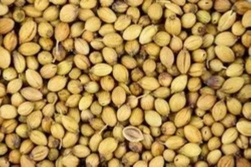 99% Pure Organic Raw Solid Dried Form Edible Hybrid Coriander Seeds
