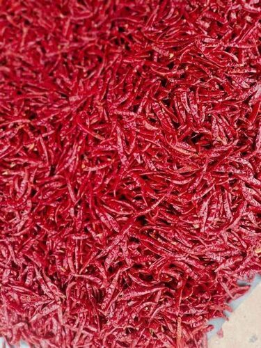 Export Quality Super Hot Guntur Special Dry Red Chillies For Cooking