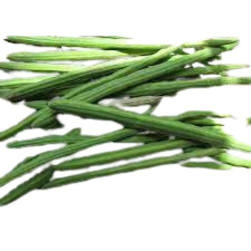 Green Long Shape With 63-83% Moisture Content Fresh Raw Drumstick Shelf Life: 3 Days