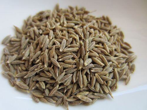 Machine Cleaned Dried Fresh Aroma Whole Cumin Seeds (Jeera) For Cooking