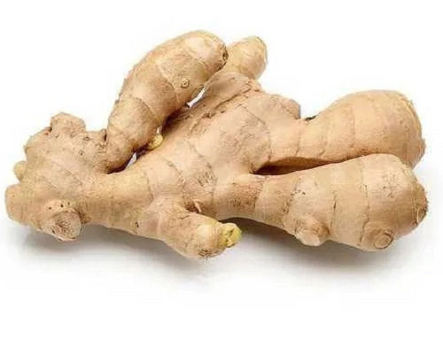 83% Moisture Contain Natural And Fresh Seasoned Raw Ginger