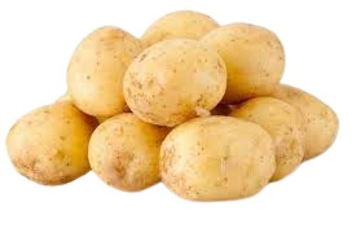 Indian Origin Brown Fresh Potato Moisture (%): 63-83%