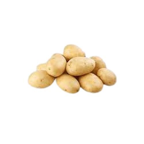 Raw Processed 63-83% Moisture Content Naturally Grown Fresh Potato
