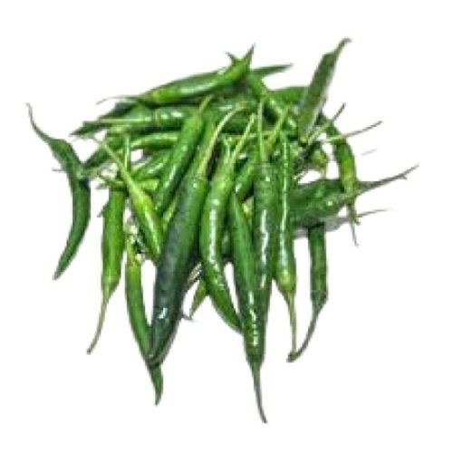 Raw Processed Naturally Grown Fresh Long Shape Green Chillies