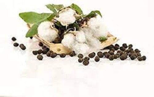 cotton seeds