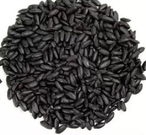A-Grade Black Paddy Seeds For Farming