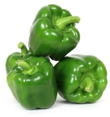 Fresh And Natural Commonly Cultivated Raw Green Capsicum Vegetable