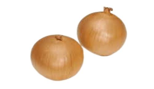 Healthy Round Shape Naturally Grown Farm Fresh Raw Onion Moisture (%): 89%