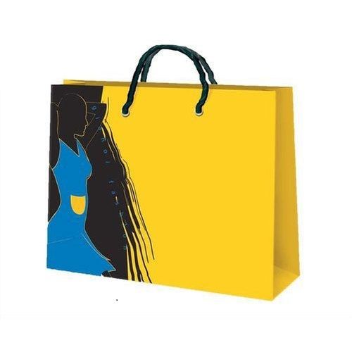 Multicolor Kraft Paper Printed Fancy Shopping Bag For Packaging