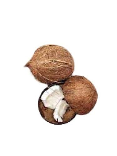 Matured Fresh Round Shape Semi Husked Coconut