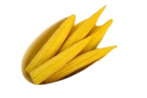 Yellow Naturally Grown 1% Broken Commonly Cultivated 100% Pure Fresh Baby Corn