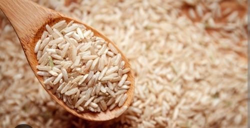 No Preservatives Medium Grains Brown Rice For Human Consumption Use