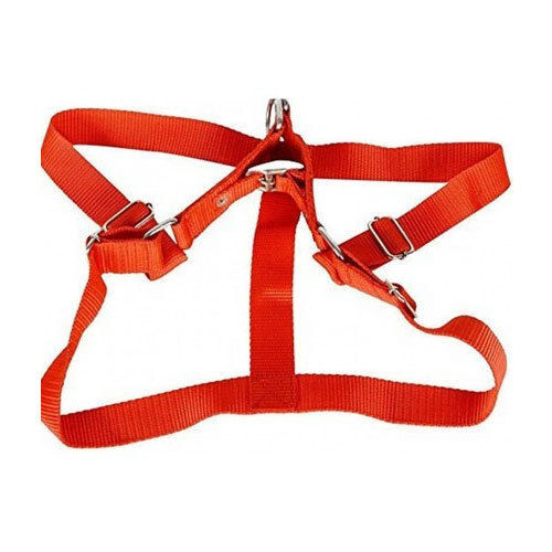 Premium Quality Flexible Nylon Material Harness For Dogs 