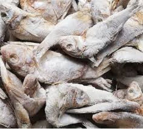 Dry Fish