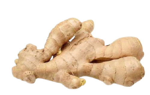 Natural And Fresh 94% Moisture Raw Dried Peppery Taste Ginger  Preserving Compound: Freezer