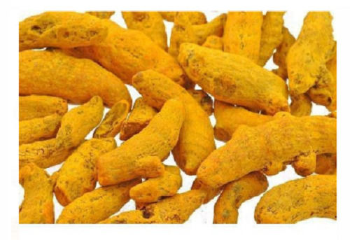 Natural Fresh Dried Raw Slightly Bitter Taste Turmeric Fingers