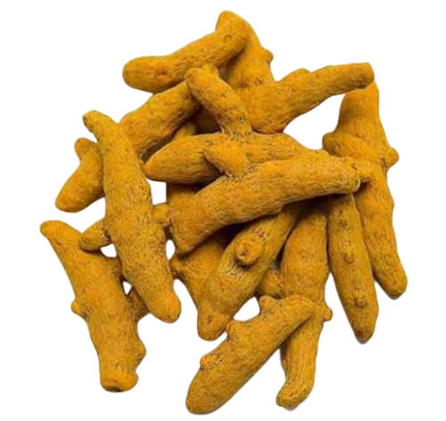 Yellow Non Gmo Dried Natural Organic Turmeric Finger For Culinary And Medicinal Use