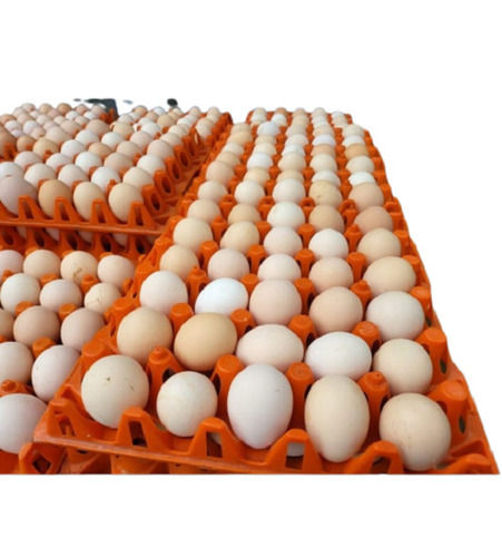 Nutritious And Full Of Protein Brown Egg  Egg Origin: Chicken