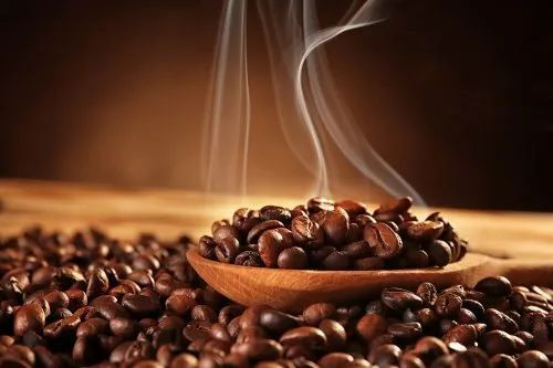 Antioxidant Common Cultivated Food Grade Raw Processing Dried Coffee Beans 