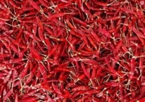 Red Dried Raw Processed Solid Elongated A-Grade Spicy Flavour Organic Chilli For Cooking