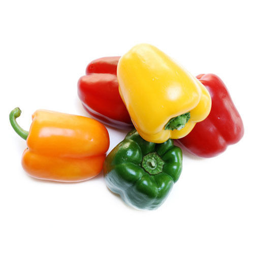 Green Red Yellow Organic Fresh Capsicum For Cooking