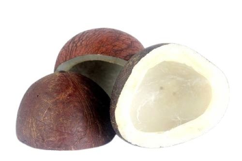 Medium Size Round Shape Brown Dried Coconut