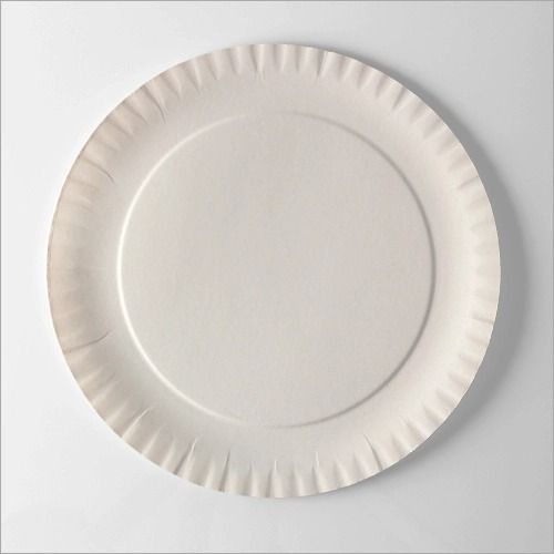 Paper Plate