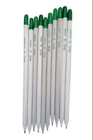 Recycle pencil