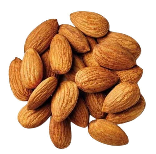 Wholesale Price Common Cultivated Dried Almonds Nuts