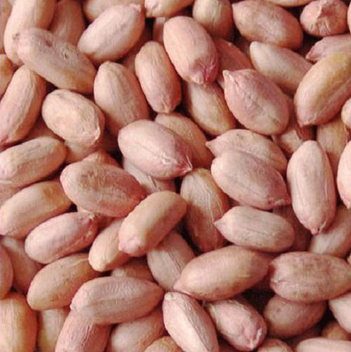 Dried And Cleaned Common Cultivated Bold Groundnut Kernels Broken (%): 5%