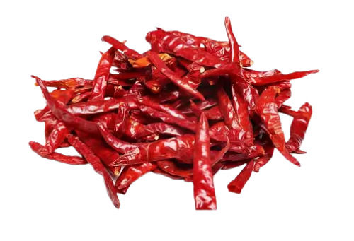 Raw Natural And Strong Spicy Dried Stemless Red Chilli For Spices