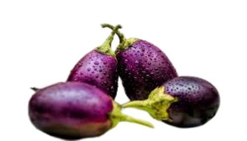 Naturally Grown Oval Shape Fresh Purple Brinjal