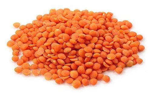 99% Pure And Raw Commonly Cultivated Whole Dried Masoor Dal