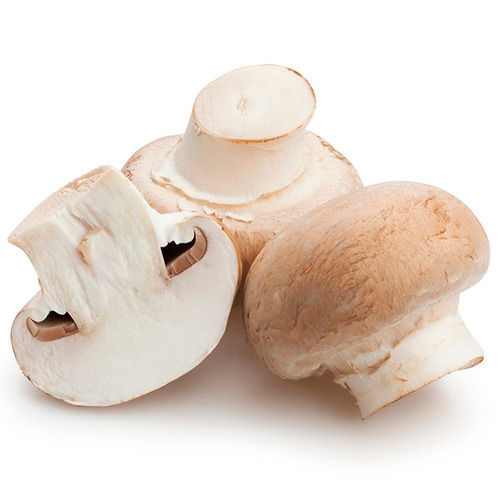 Creamy Natural Fresh Button Mushroom Use For Cooking And Oil Extraction