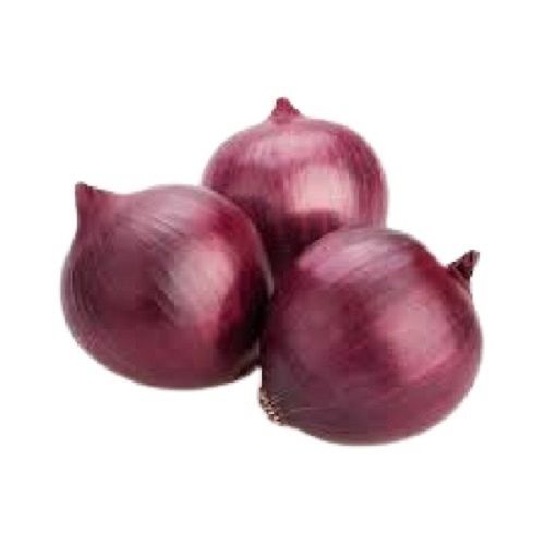 Naturally Grown Round Shape Farm Fresh Raw Onion