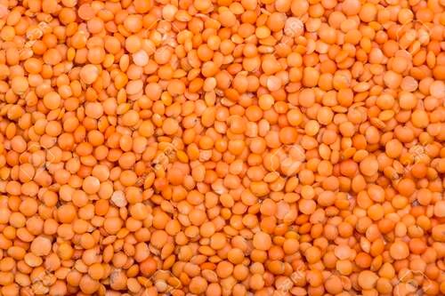 Orange Organic Masoor Dal Use For Cooking, High In Protein And Carbohydrate