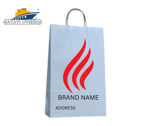 Customized Printed Paper Retail Shopping Bags With Rope Handle