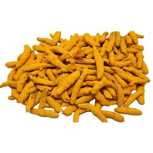 Export Quality Fresh Raw Yellow Dried Turmeric Finger Haldi For