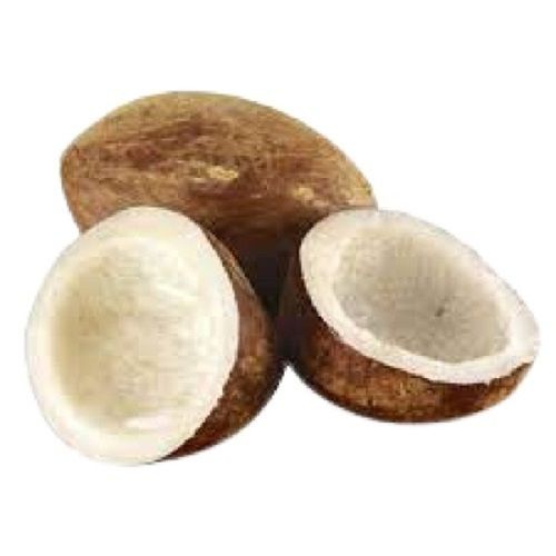 Fresh Full-Husked Round Shape Matured Medium Size Dry Coconut