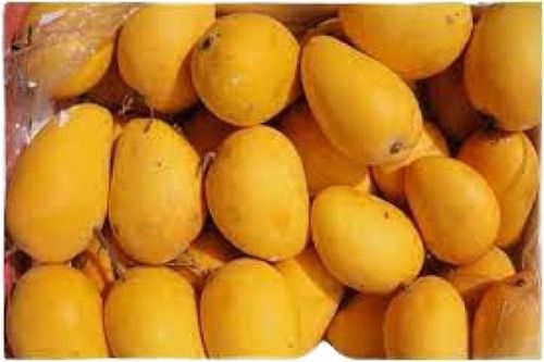 Yellow Fresh Oval Shape Sweet Taste Banganapalli Mango