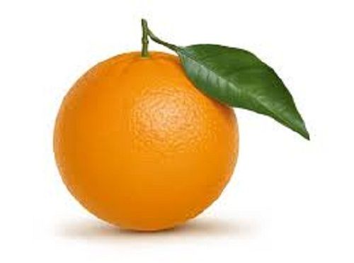 Orange Fruit