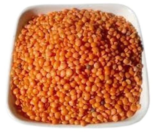 100% Pure Round Shape Dried Masoor Dal