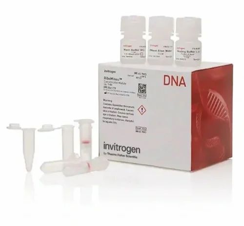 White 20-25 Celsius Plastic Dna Extraction Kit For Clinical Sample Concentrator