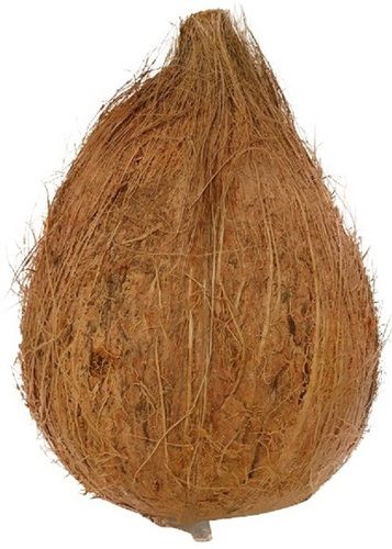 Common Brown Round Shape Matured Fresh Coconut 